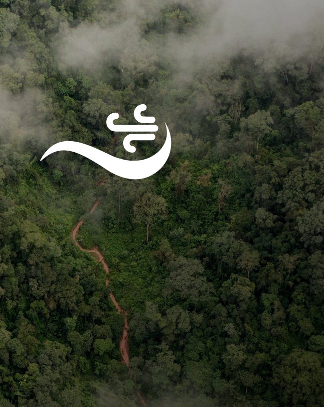 غابات غران تشاكو الأصلية